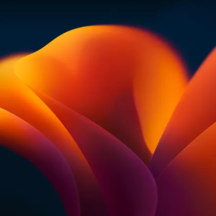 Cover image for Simplest tooling for a developer's blog